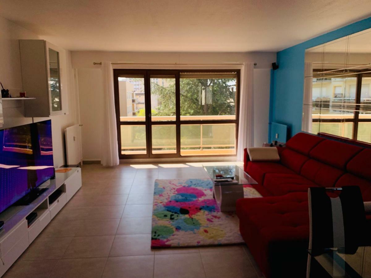 Grand Appartement A Louer Vue Sur Seine Melun Buitenkant foto