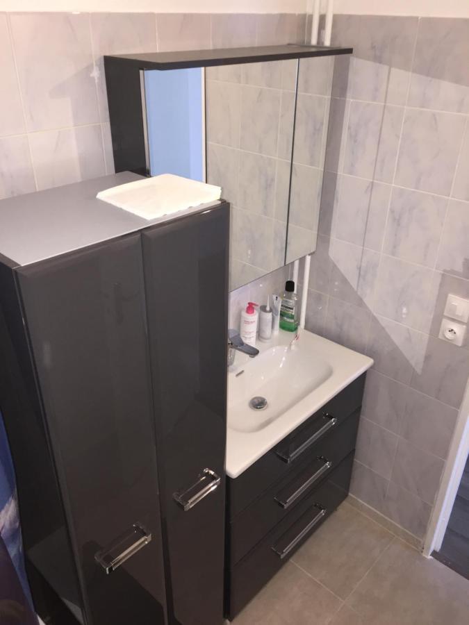Grand Appartement A Louer Vue Sur Seine Melun Buitenkant foto